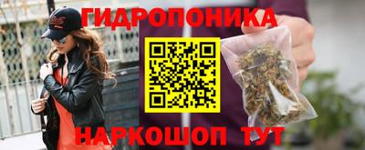 гашик Обь
