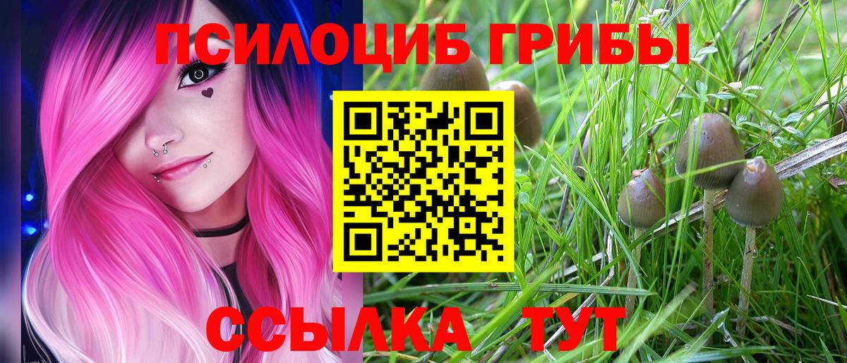 Галлюциногенные грибы прущие грибы  Вход с VPN  Псилоцибиновые грибы Psilocybine cubensis  Сыктывкар 